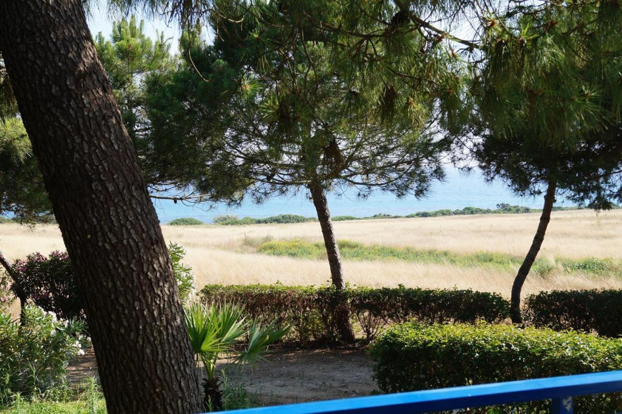 Kipriotis Hotel Arkoudi Phòng bức ảnh